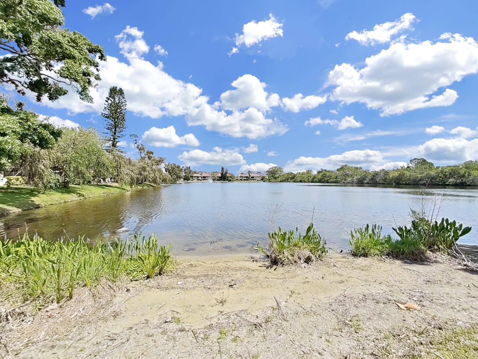 785 S VILLAGE DR N #106, ST PETERSBURG, FL, 33716