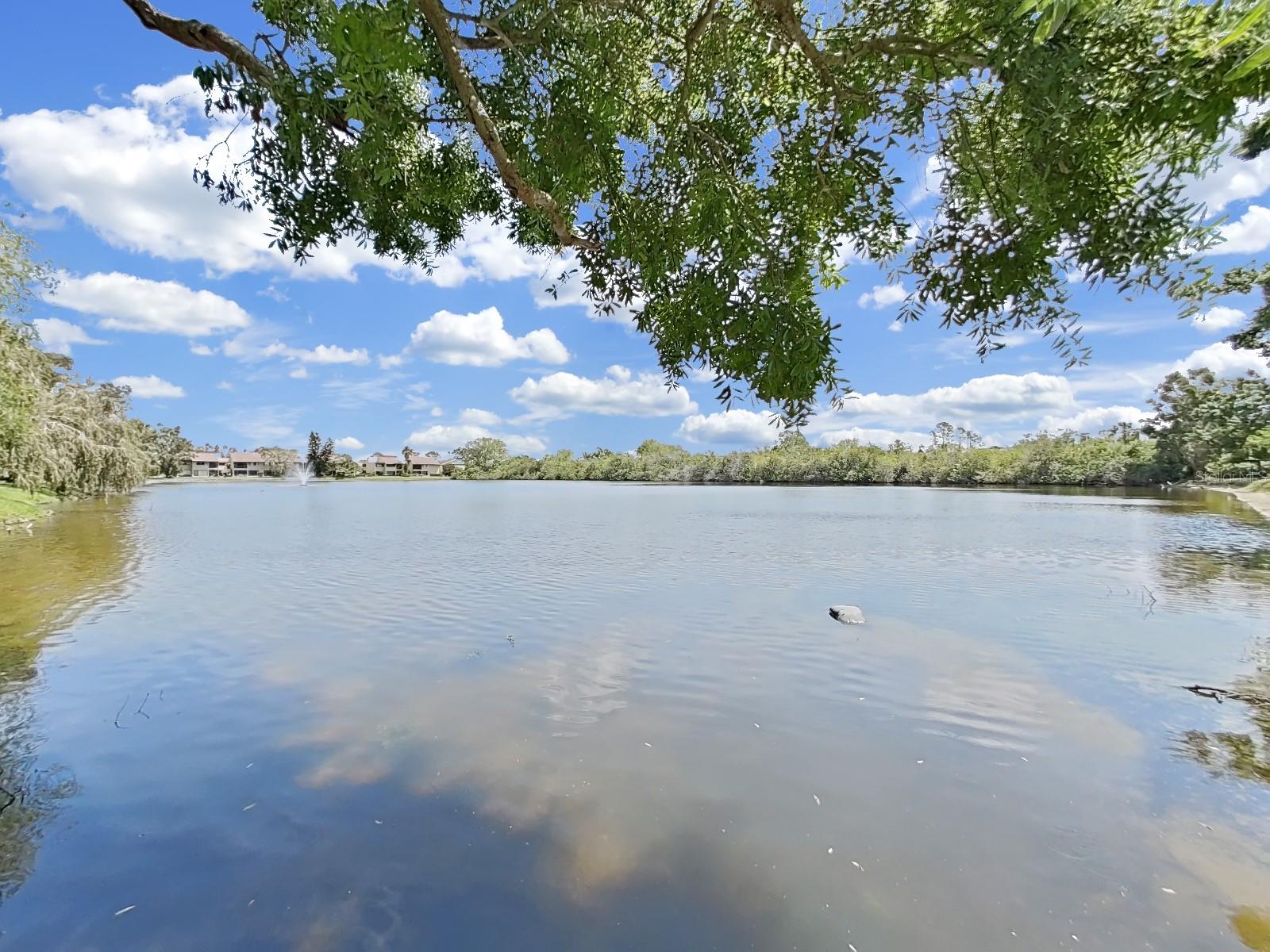 785 S VILLAGE DR N #106, ST PETERSBURG, FL, 33716