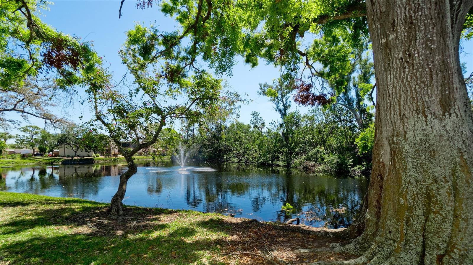 631 WOODLAWN DR, BRADENTON, FL, 34210