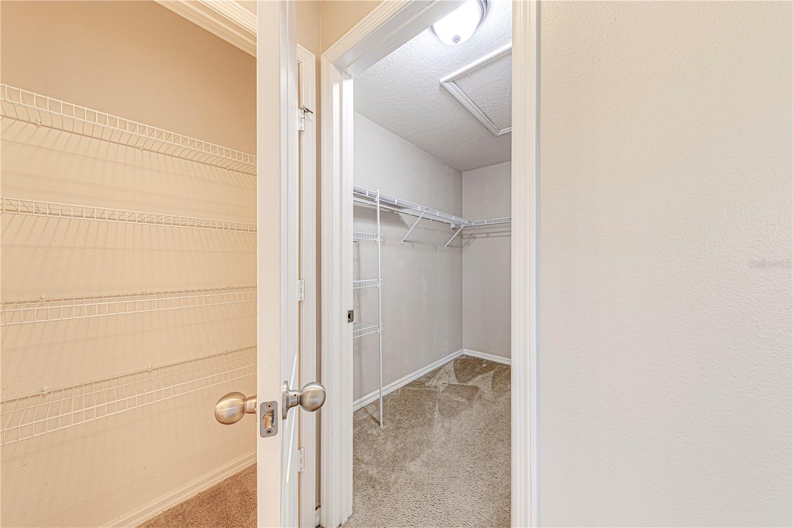 1728 BUCKEYE FALLS WAY, ORLANDO, FL, 32824