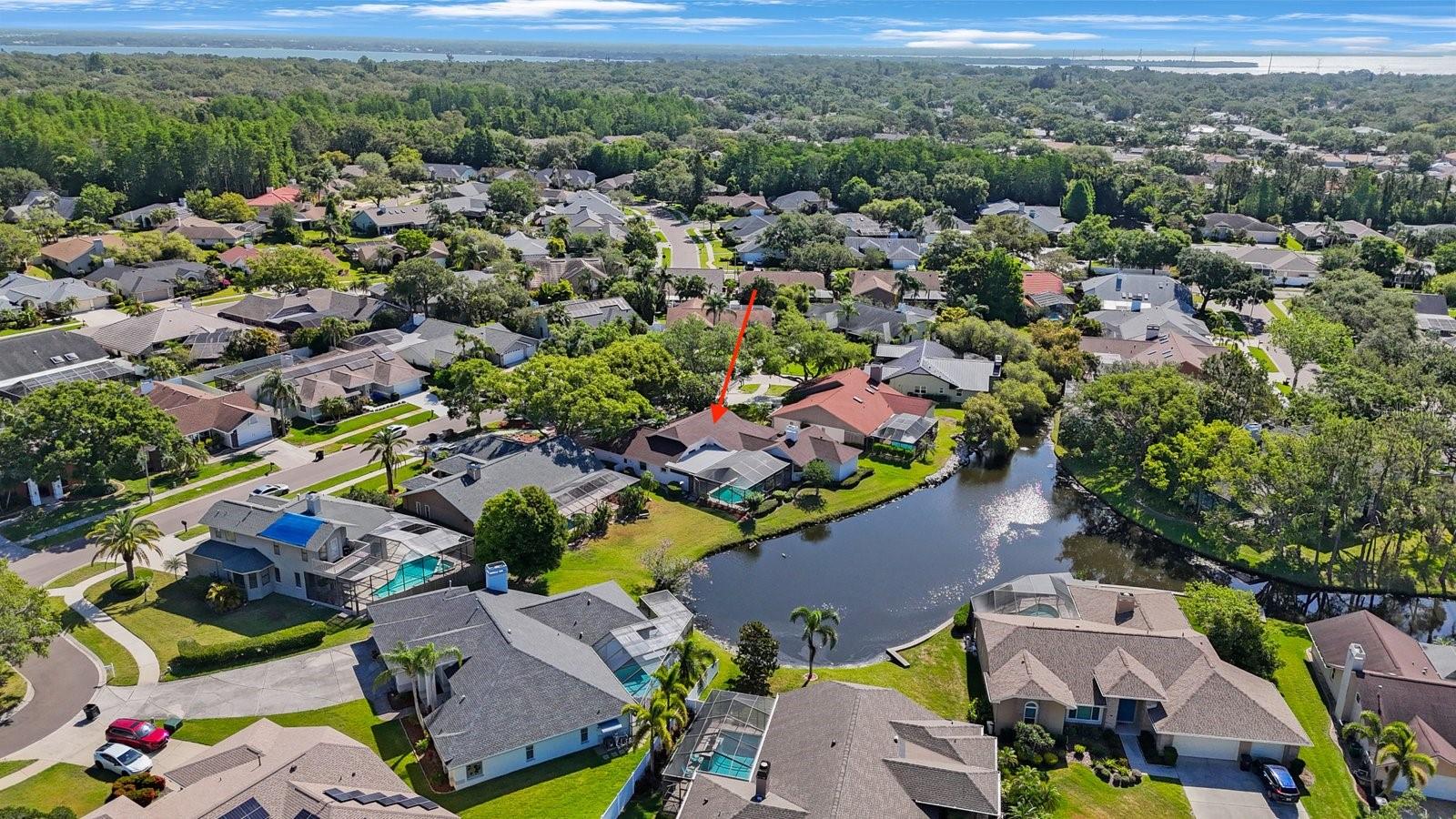 1006 CHATHAM CT, SAFETY HARBOR, FL, 34695