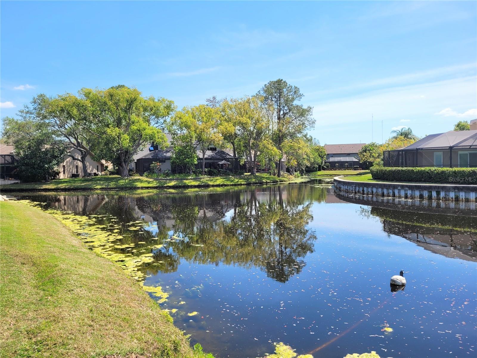 1006 CHATHAM CT, SAFETY HARBOR, FL, 34695