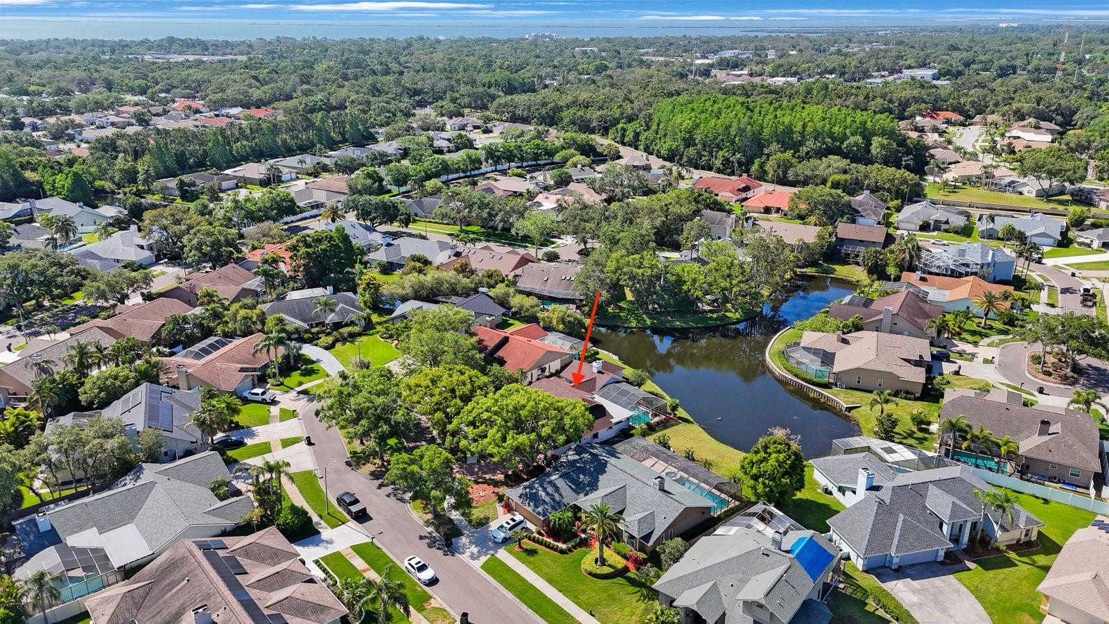 1006 CHATHAM CT, SAFETY HARBOR, FL, 34695