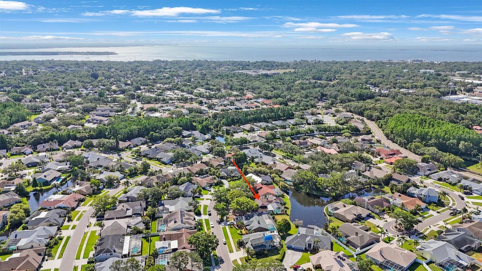 1006 CHATHAM CT, SAFETY HARBOR, FL, 34695