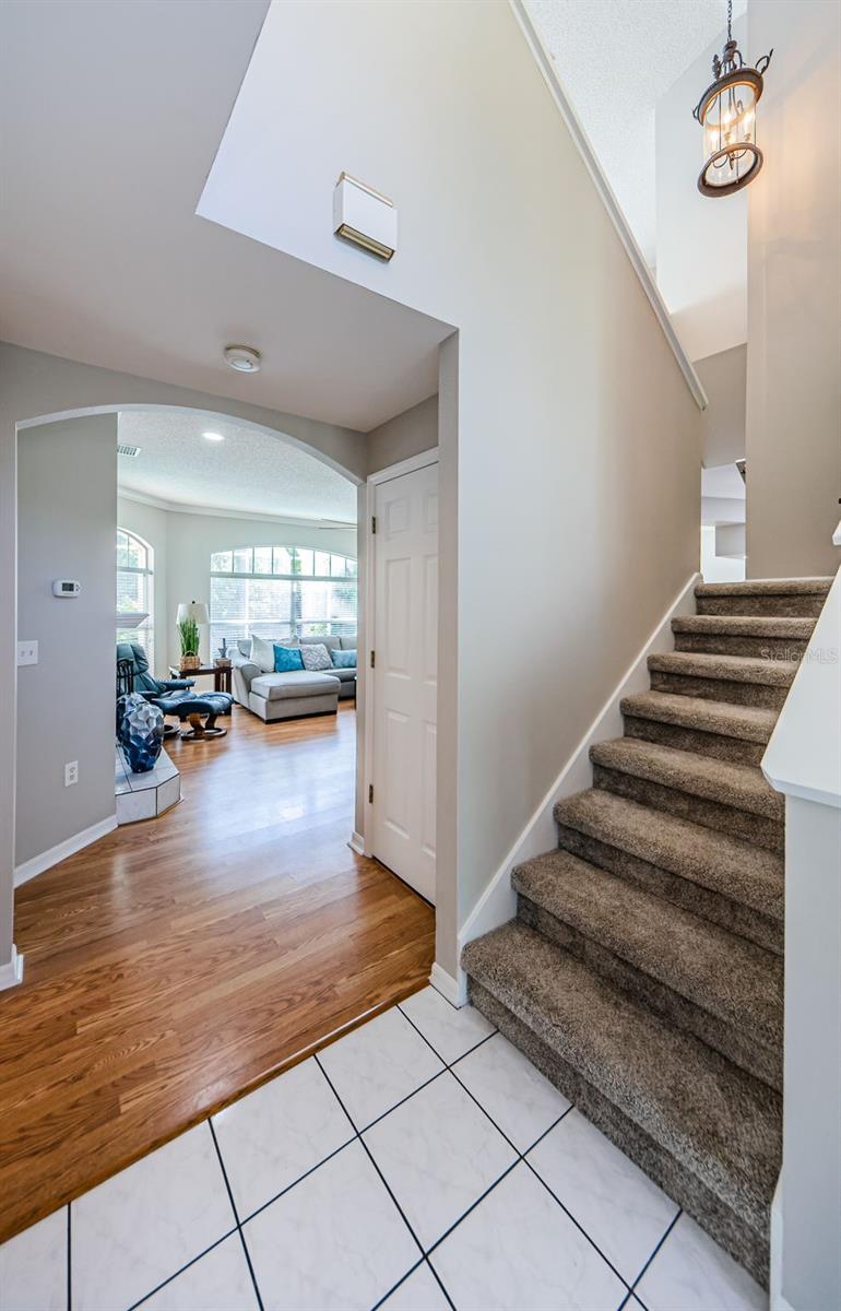 4221 SANDY SHORES DR, LUTZ, FL, 33558