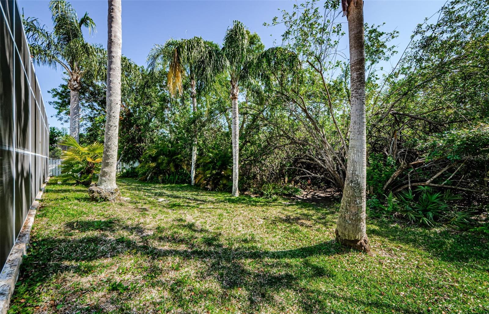 4221 SANDY SHORES DR, LUTZ, FL, 33558