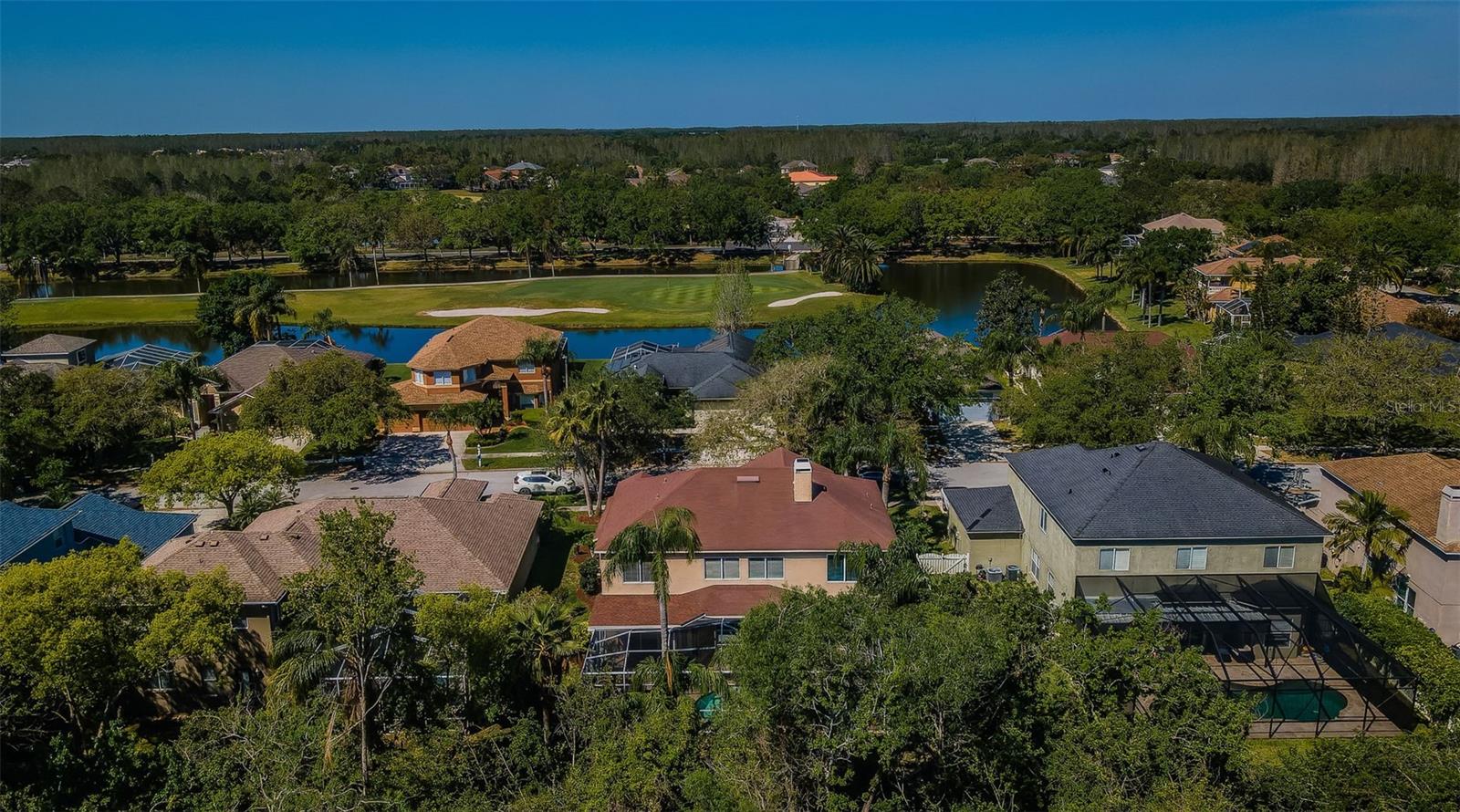 4221 SANDY SHORES DR, LUTZ, FL, 33558