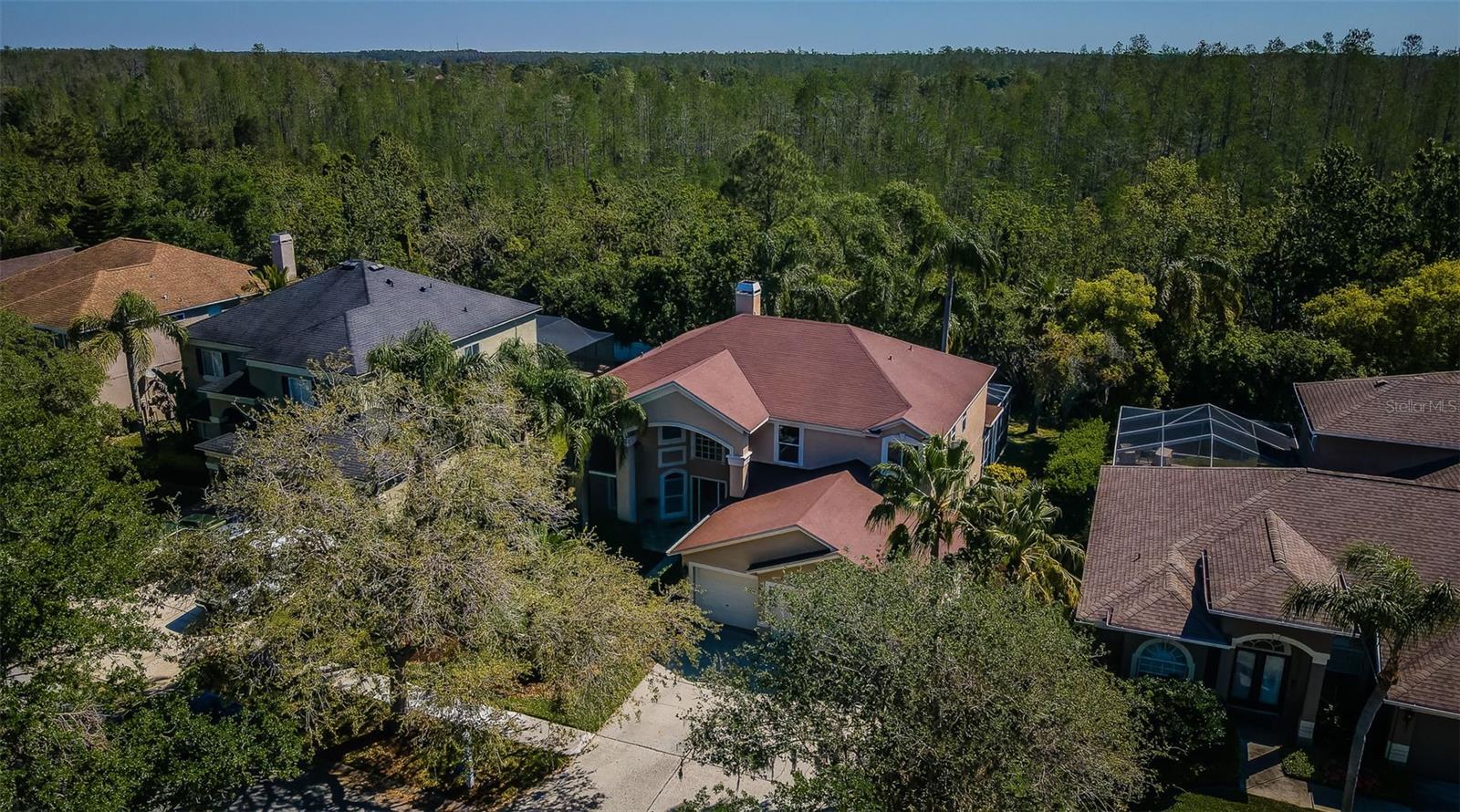 4221 SANDY SHORES DR, LUTZ, FL, 33558