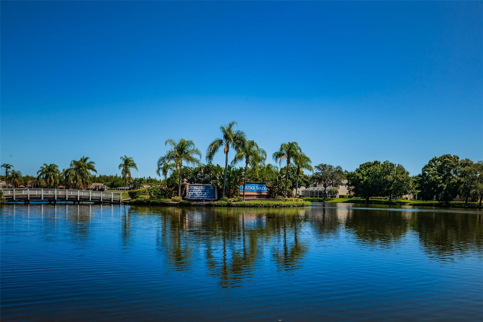 4221 SANDY SHORES DR, LUTZ, FL, 33558