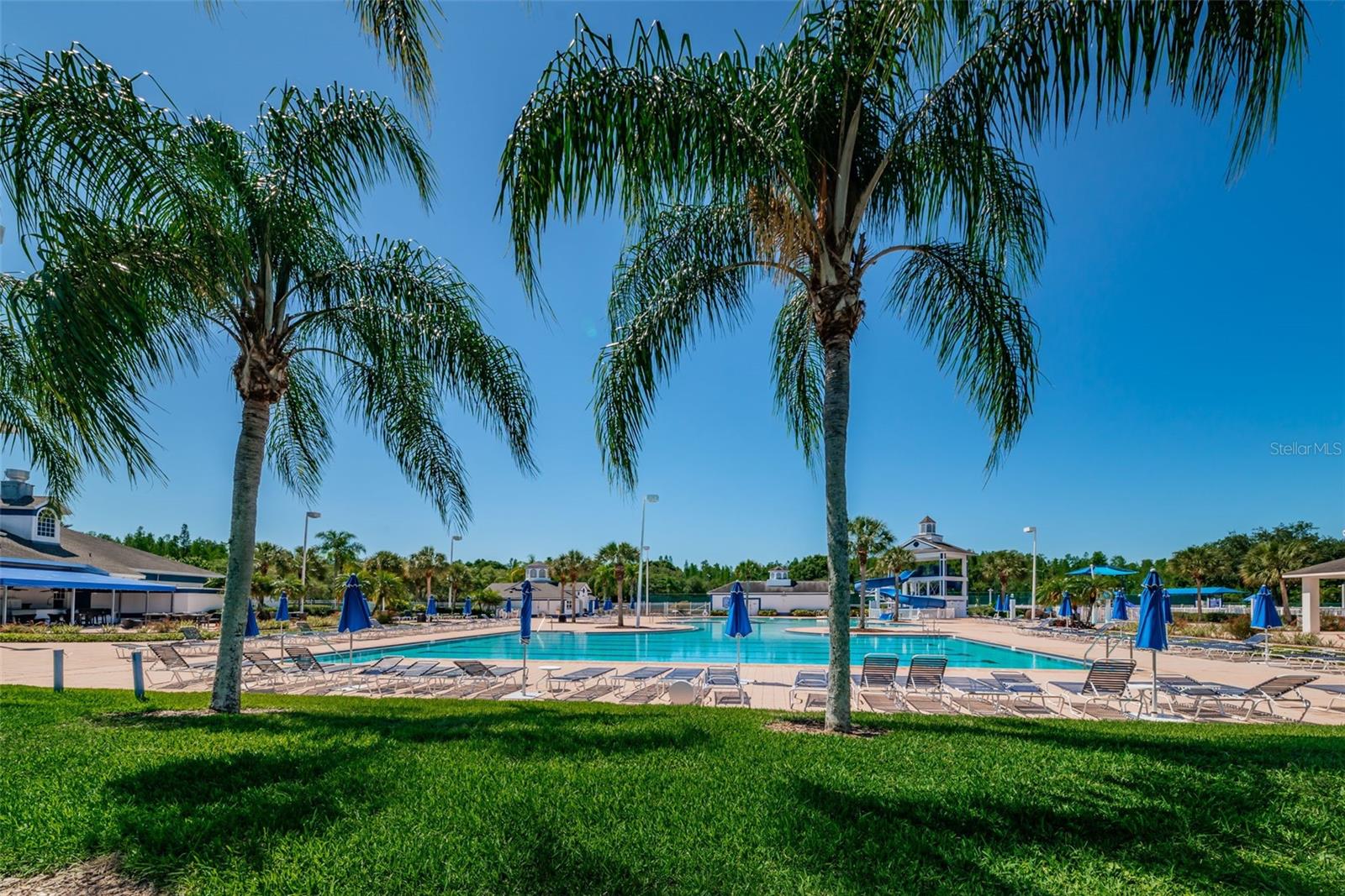 4221 SANDY SHORES DR, LUTZ, FL, 33558