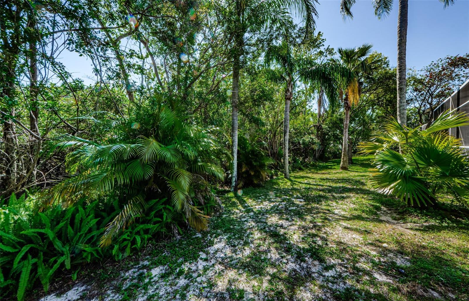 4221 SANDY SHORES DR, LUTZ, FL, 33558