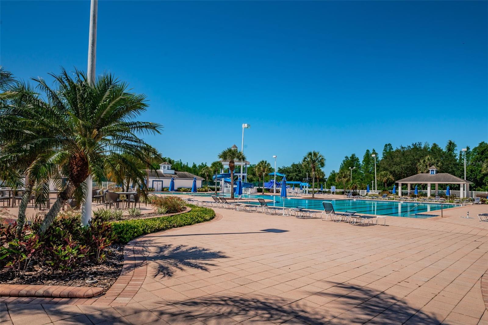 4221 SANDY SHORES DR, LUTZ, FL, 33558
