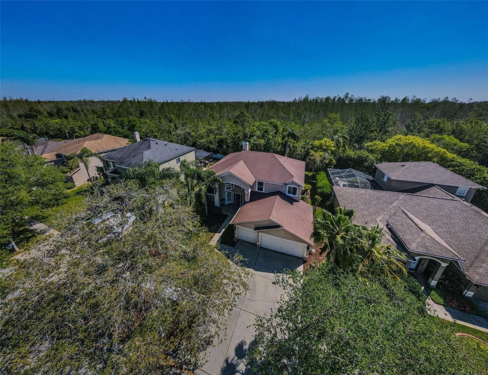 4221 SANDY SHORES DR, LUTZ, FL, 33558