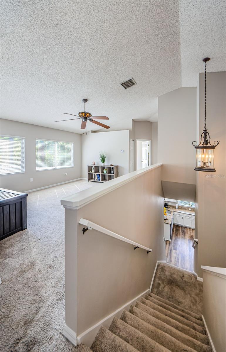 4221 SANDY SHORES DR, LUTZ, FL, 33558