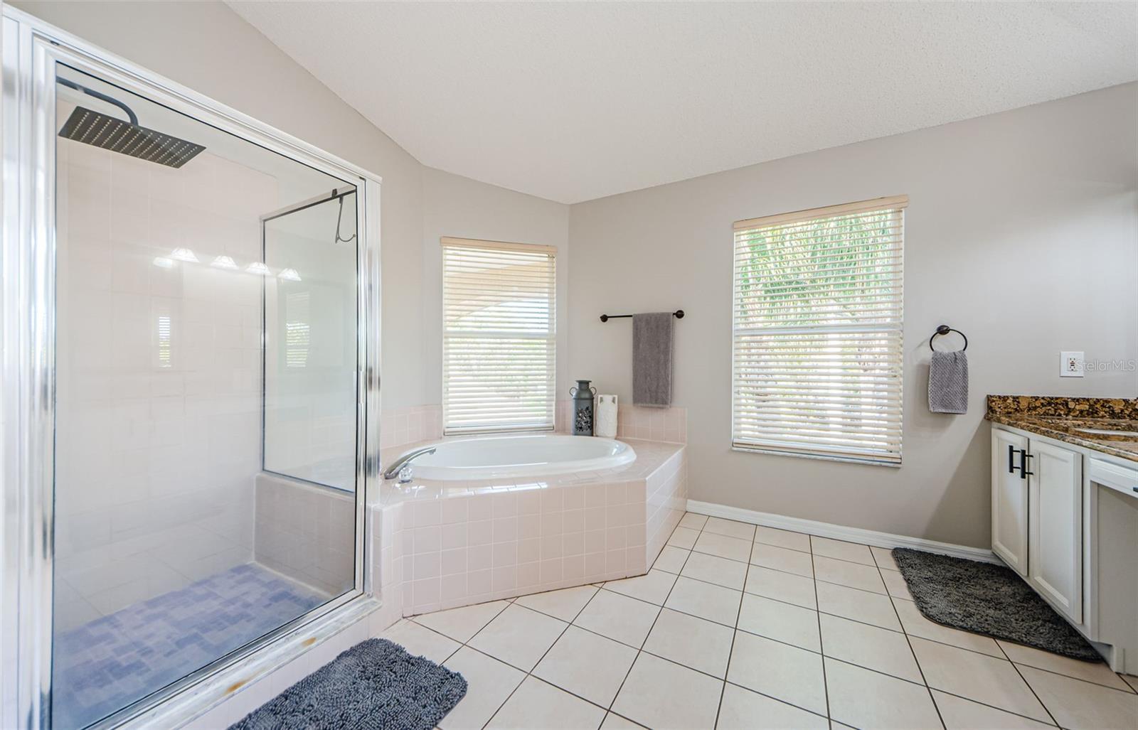 4221 SANDY SHORES DR, LUTZ, FL, 33558