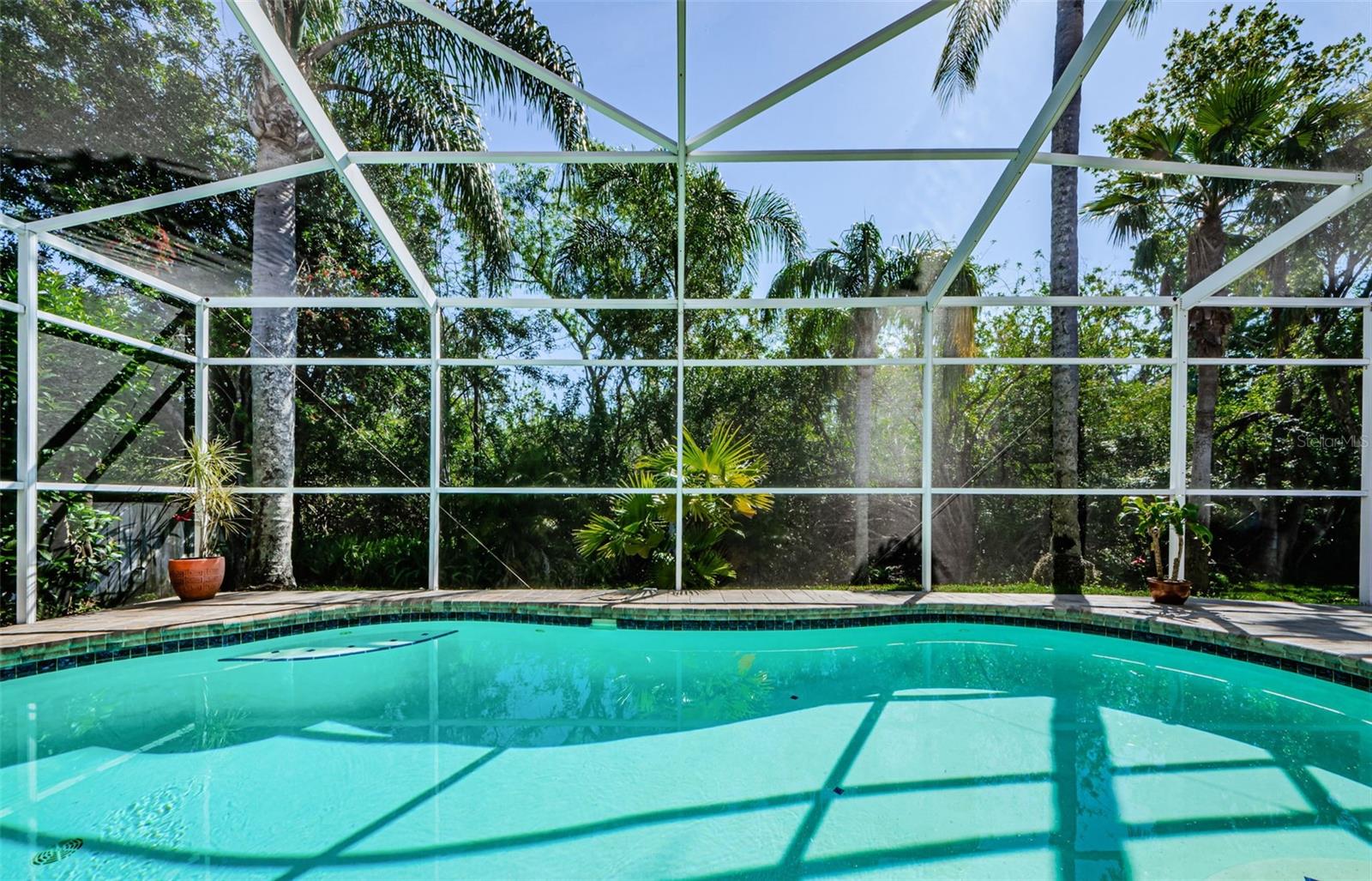 4221 SANDY SHORES DR, LUTZ, FL, 33558