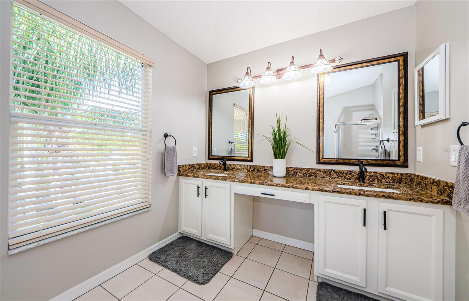 4221 SANDY SHORES DR, LUTZ, FL, 33558