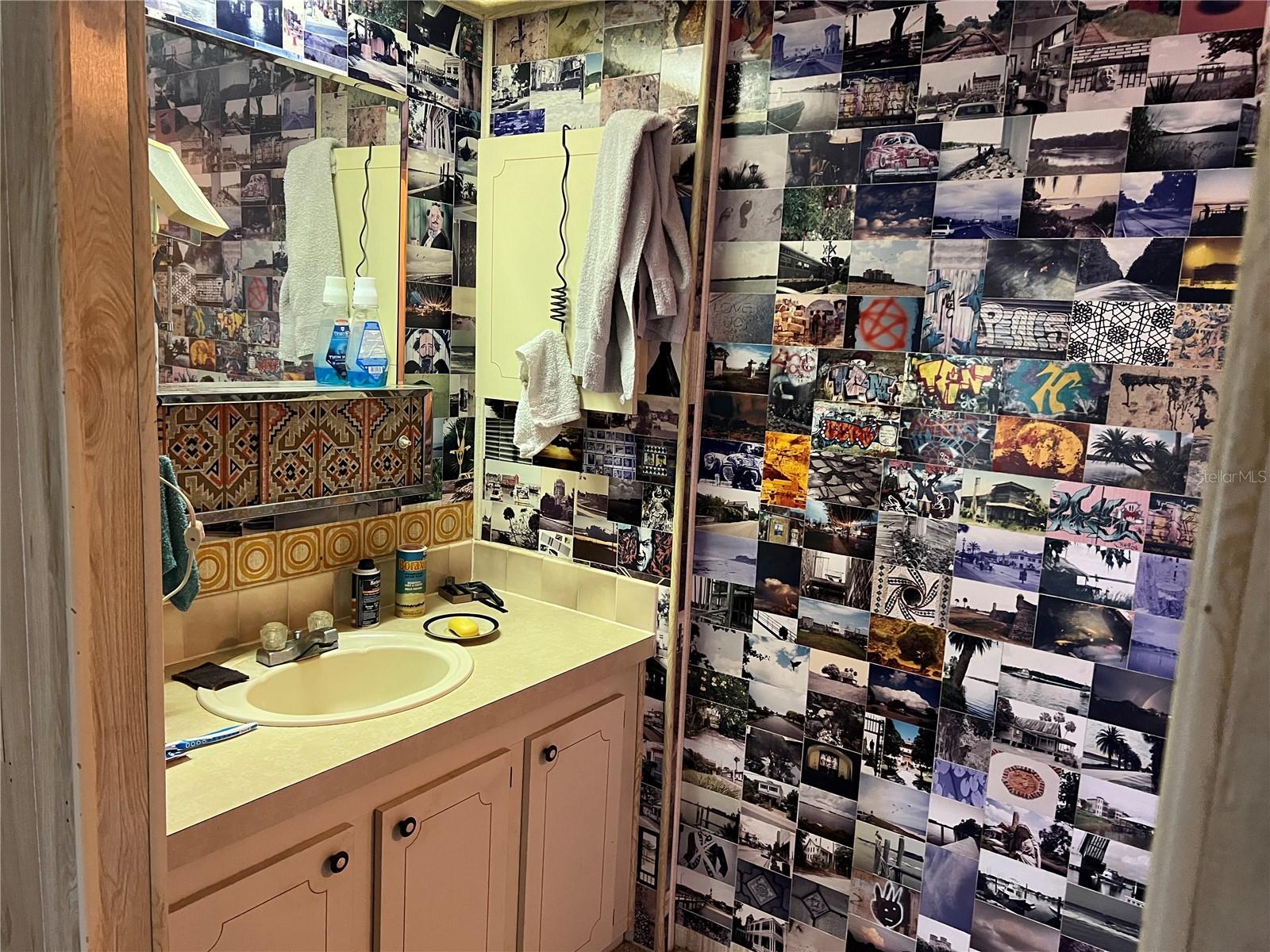 1408 SKYLINE CT, TAVARES, FL, 32778