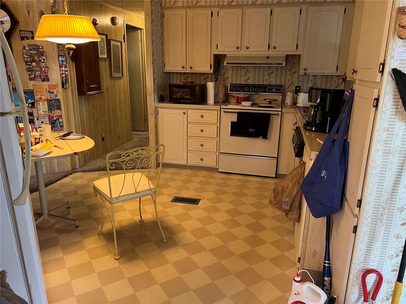 1408 SKYLINE CT, TAVARES, FL, 32778