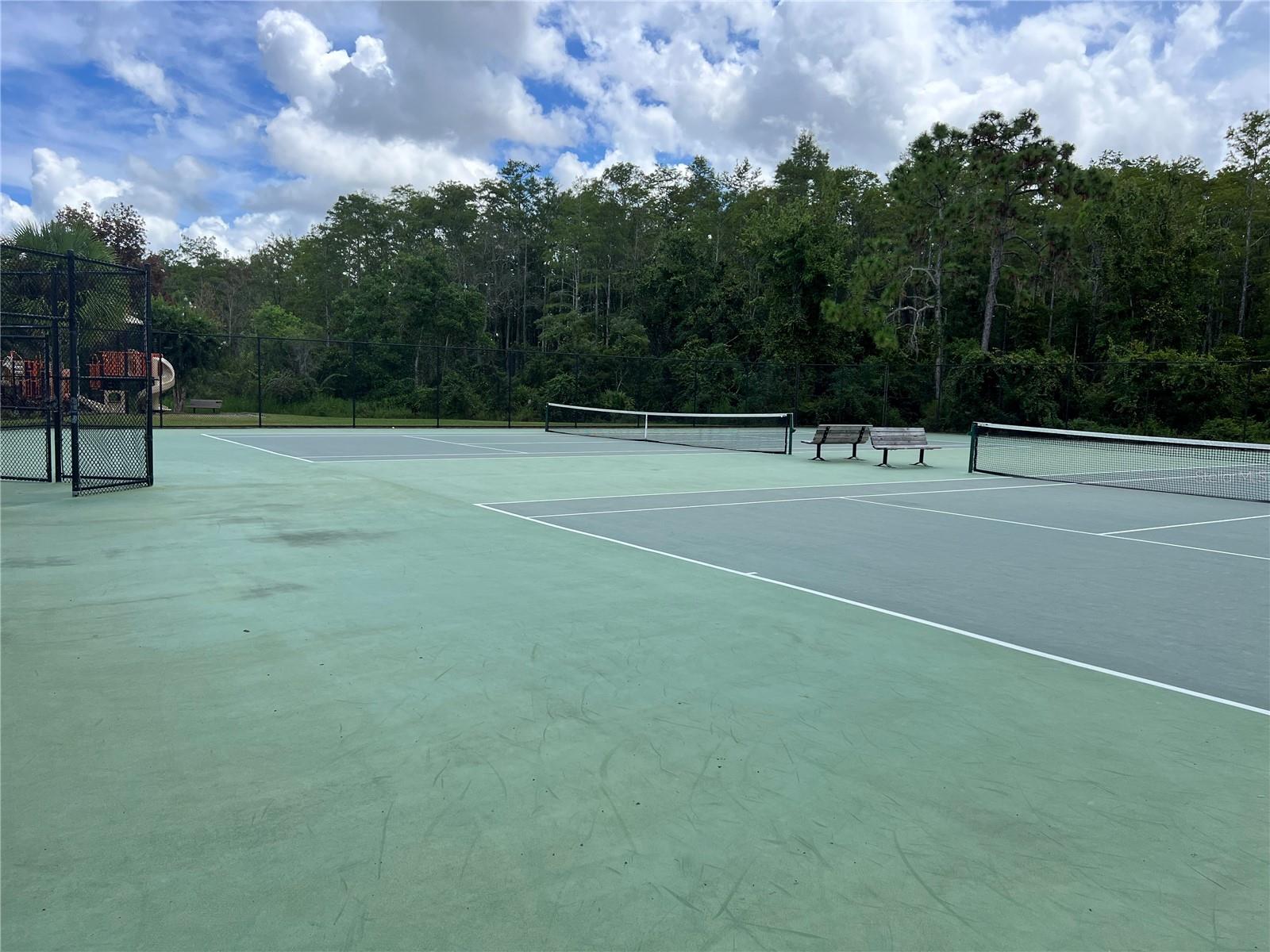 10065 LAKE DISTRICT LN, ORLANDO, FL, 32832