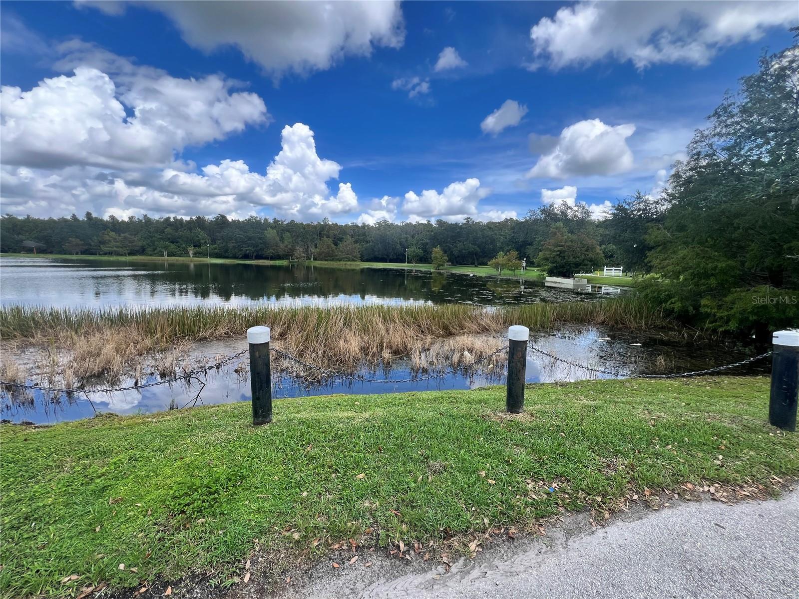 10065 LAKE DISTRICT LN, ORLANDO, FL, 32832