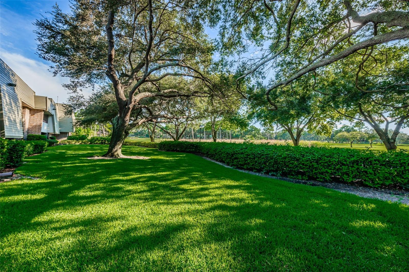 36750 US 19 HWY N #18-210, PALM HARBOR, FL, 34684