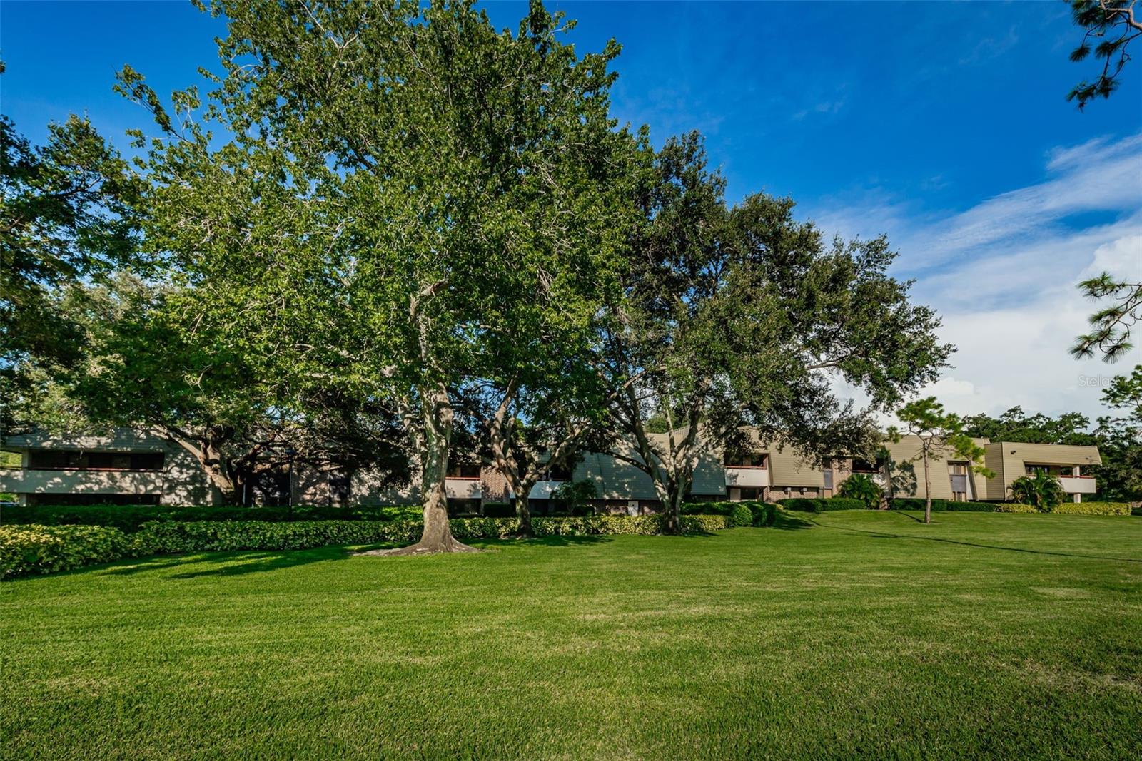 36750 US 19 HWY N #18-210, PALM HARBOR, FL, 34684