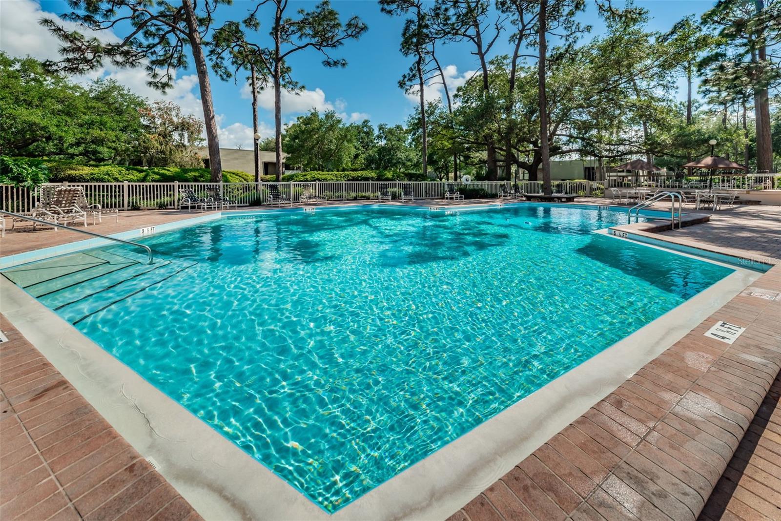 36750 US 19 HWY N #18-210, PALM HARBOR, FL, 34684