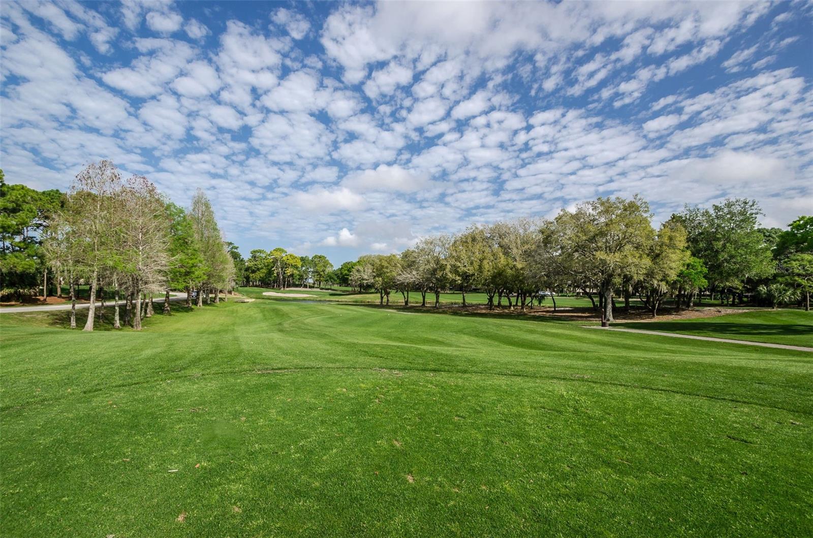 36750 US 19 HWY N #18-210, PALM HARBOR, FL, 34684