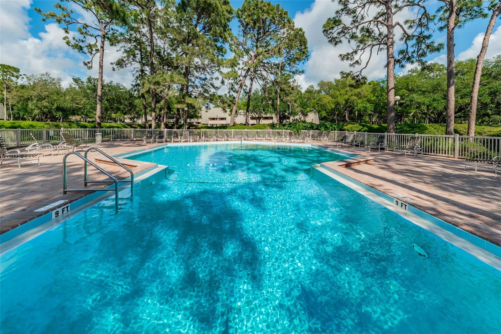 36750 US 19 HWY N #18-210, PALM HARBOR, FL, 34684