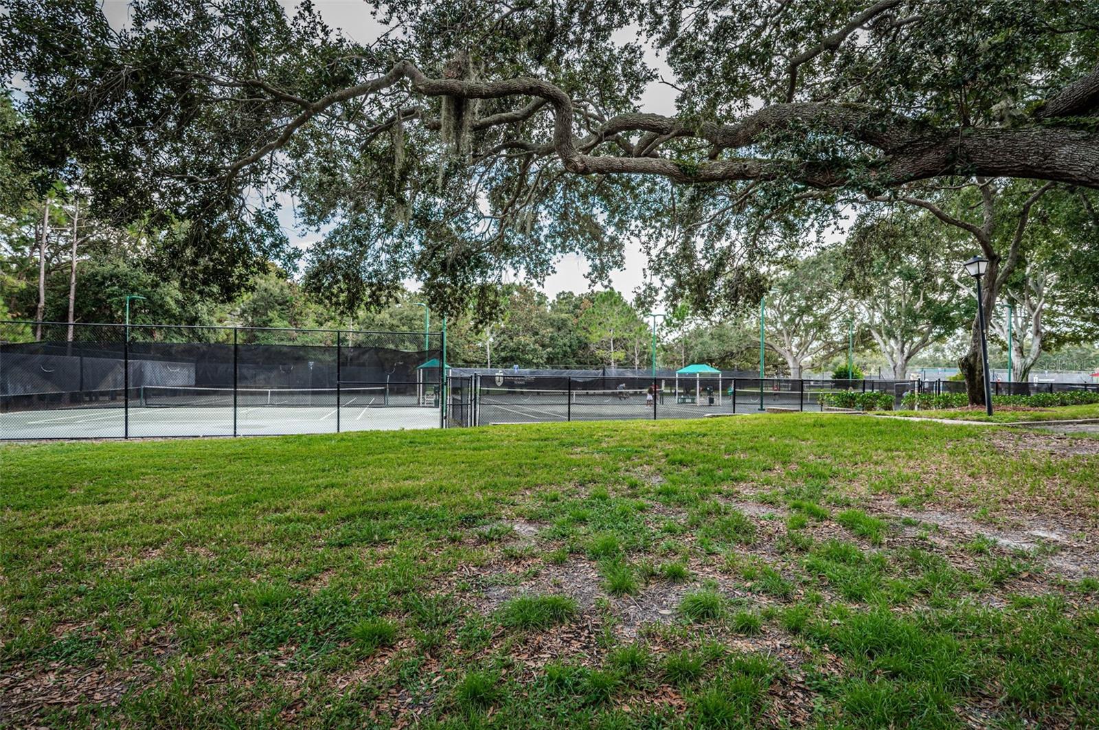 36750 US 19 HWY N #18-210, PALM HARBOR, FL, 34684