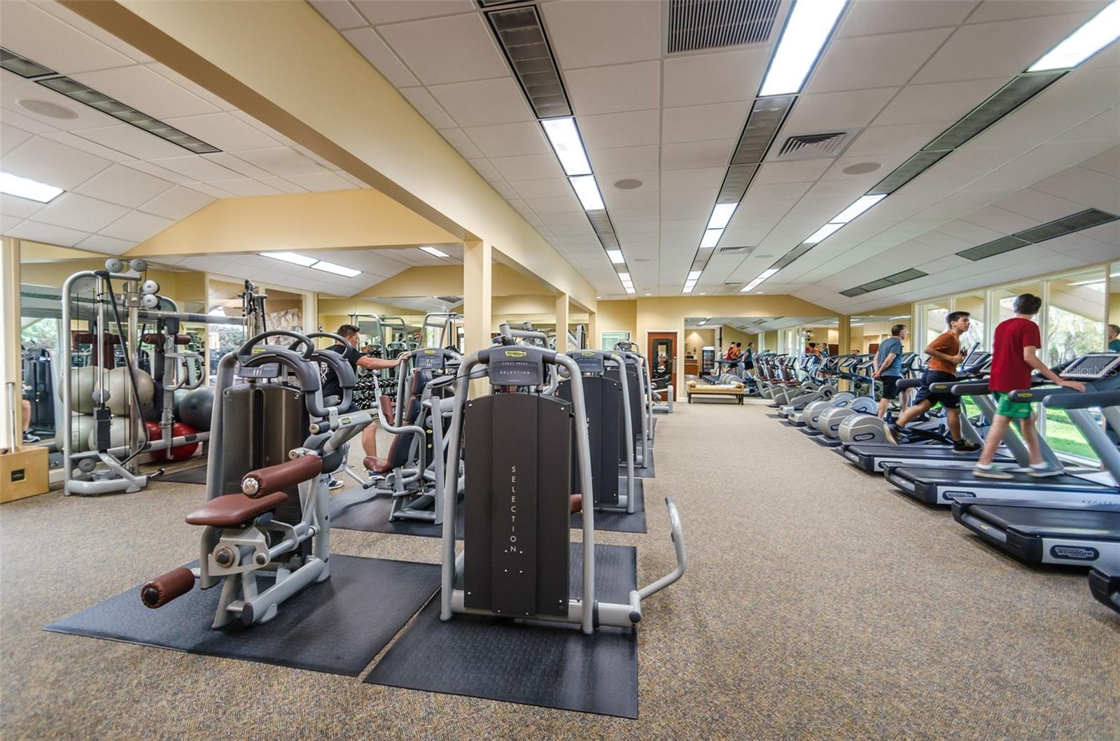 36750 US 19 HWY N #18-210, PALM HARBOR, FL, 34684