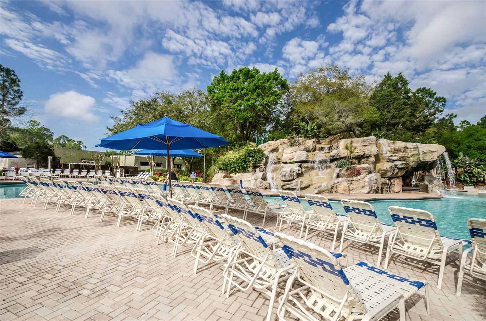 36750 US 19 HWY N #18-210, PALM HARBOR, FL, 34684