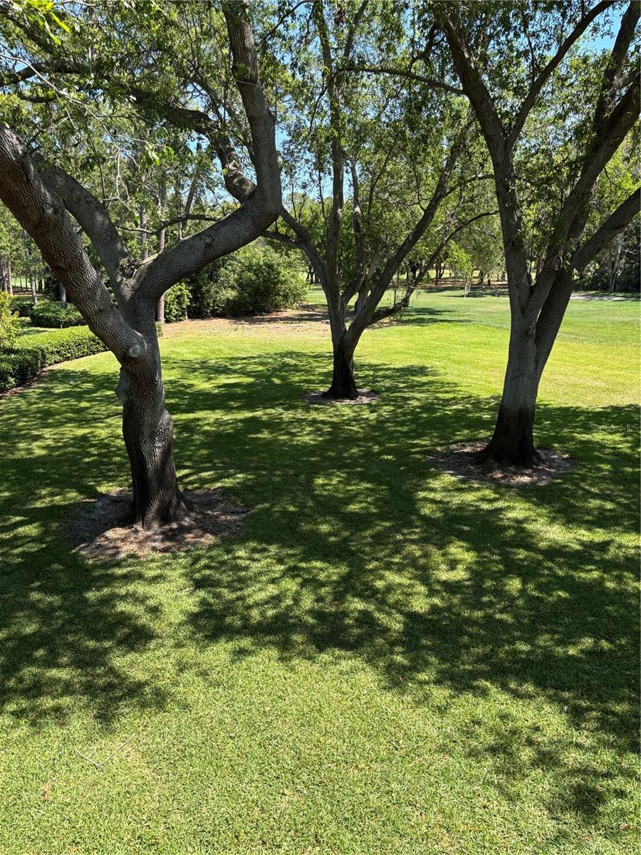 36750 US 19 HWY N #18-210, PALM HARBOR, FL, 34684