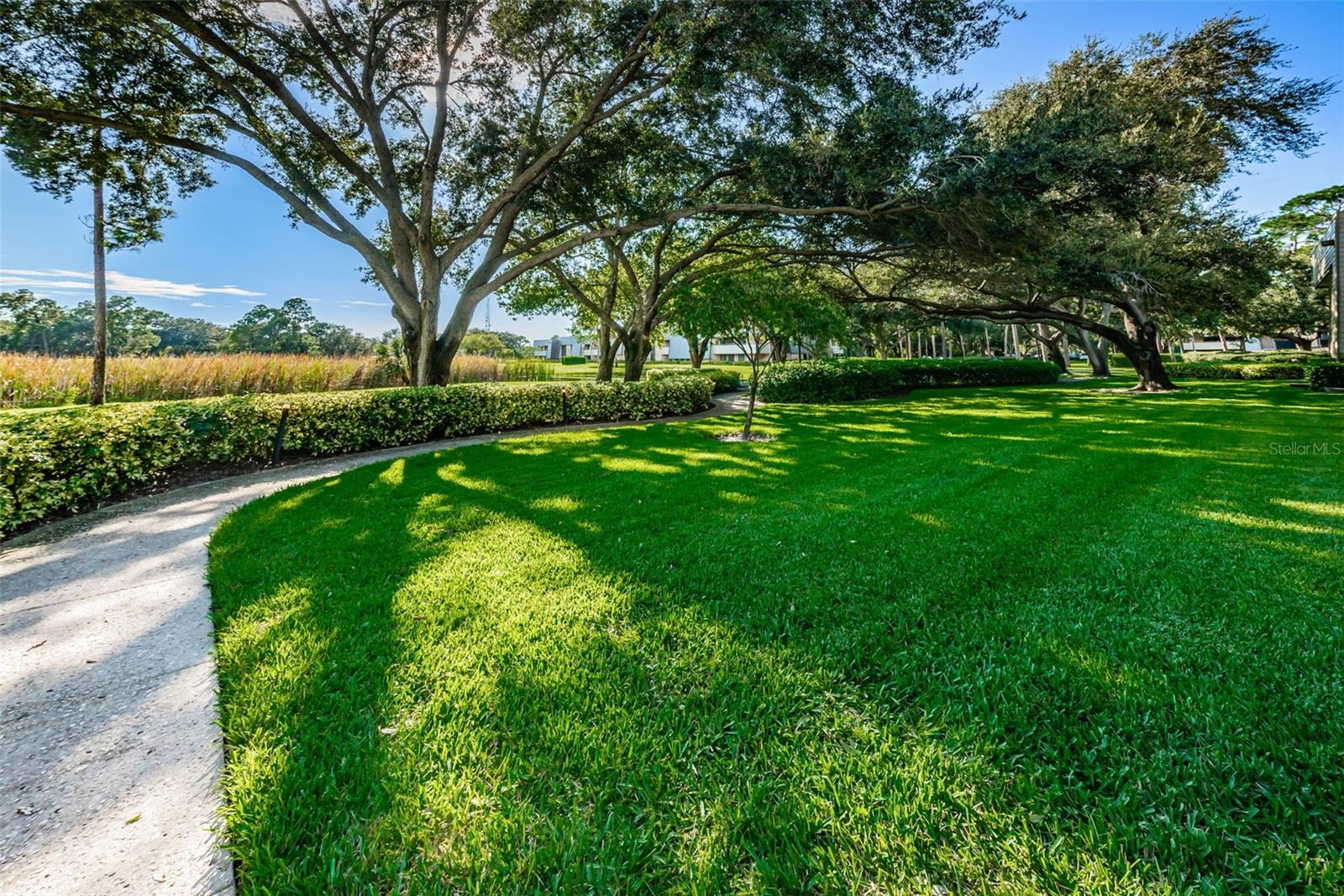36750 US 19 HWY N #18-210, PALM HARBOR, FL, 34684