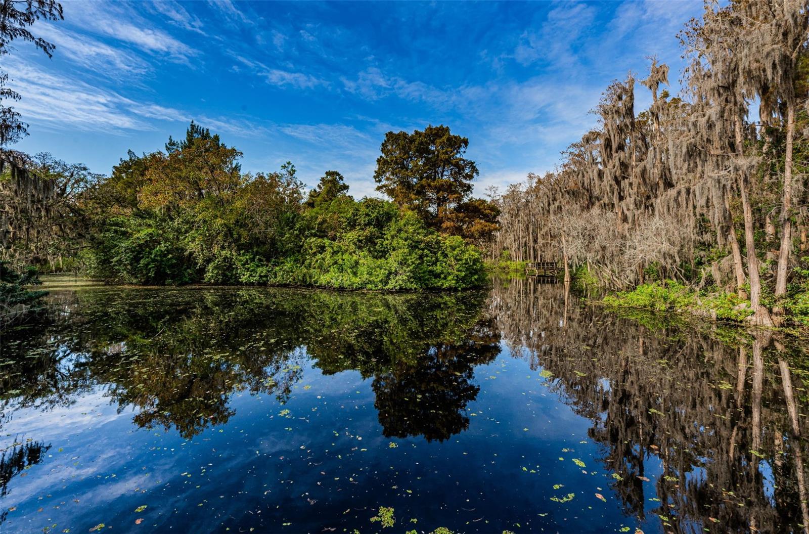 36750 US 19 HWY N #18-210, PALM HARBOR, FL, 34684