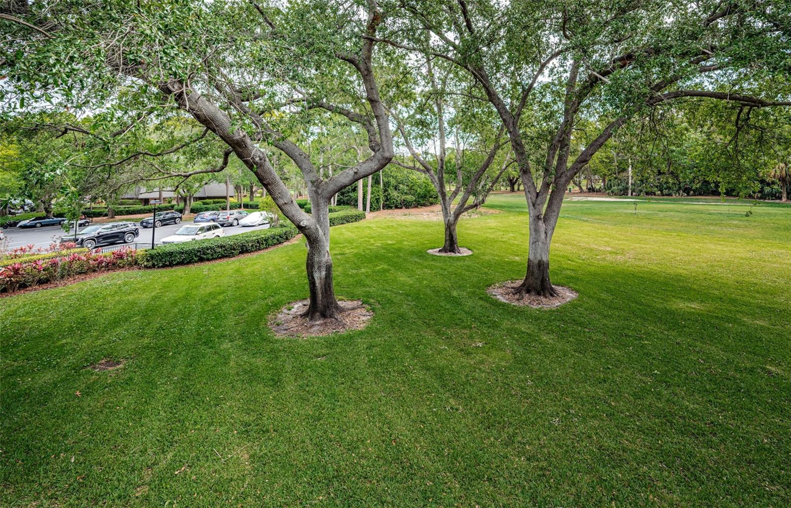 36750 US 19 HWY N #18-210, PALM HARBOR, FL, 34684