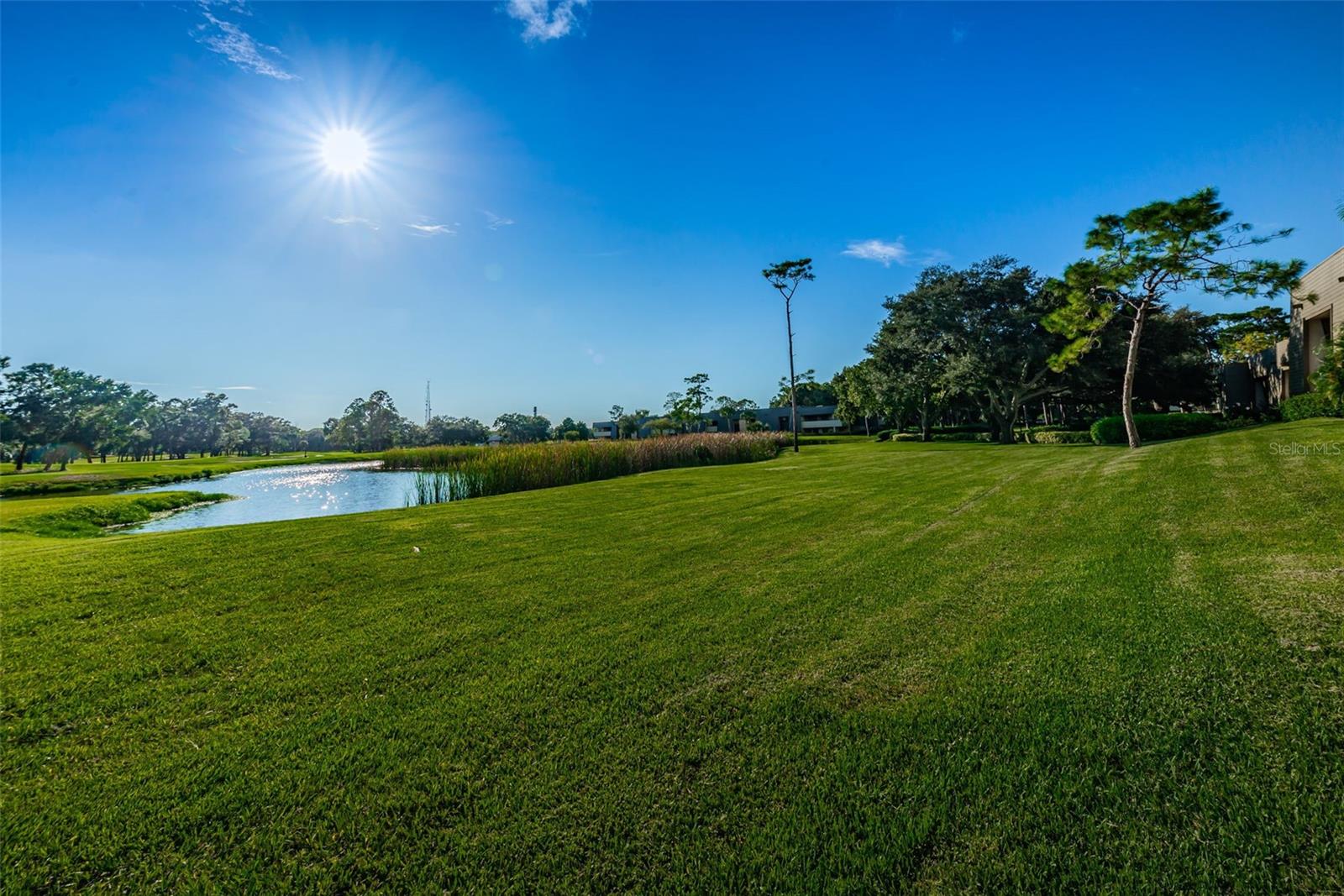 36750 US 19 HWY N #18-210, PALM HARBOR, FL, 34684
