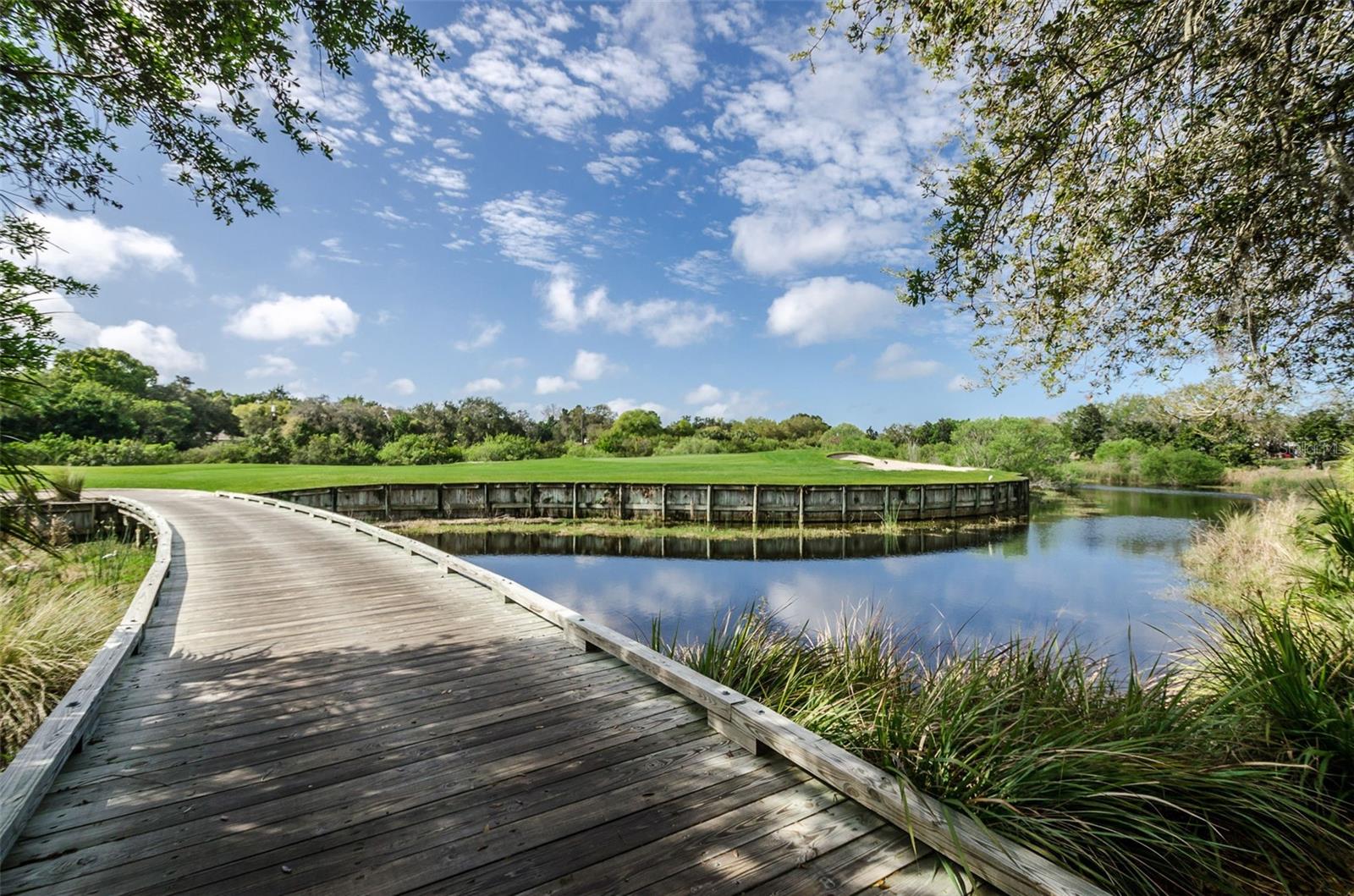 36750 US 19 HWY N #18-210, PALM HARBOR, FL, 34684