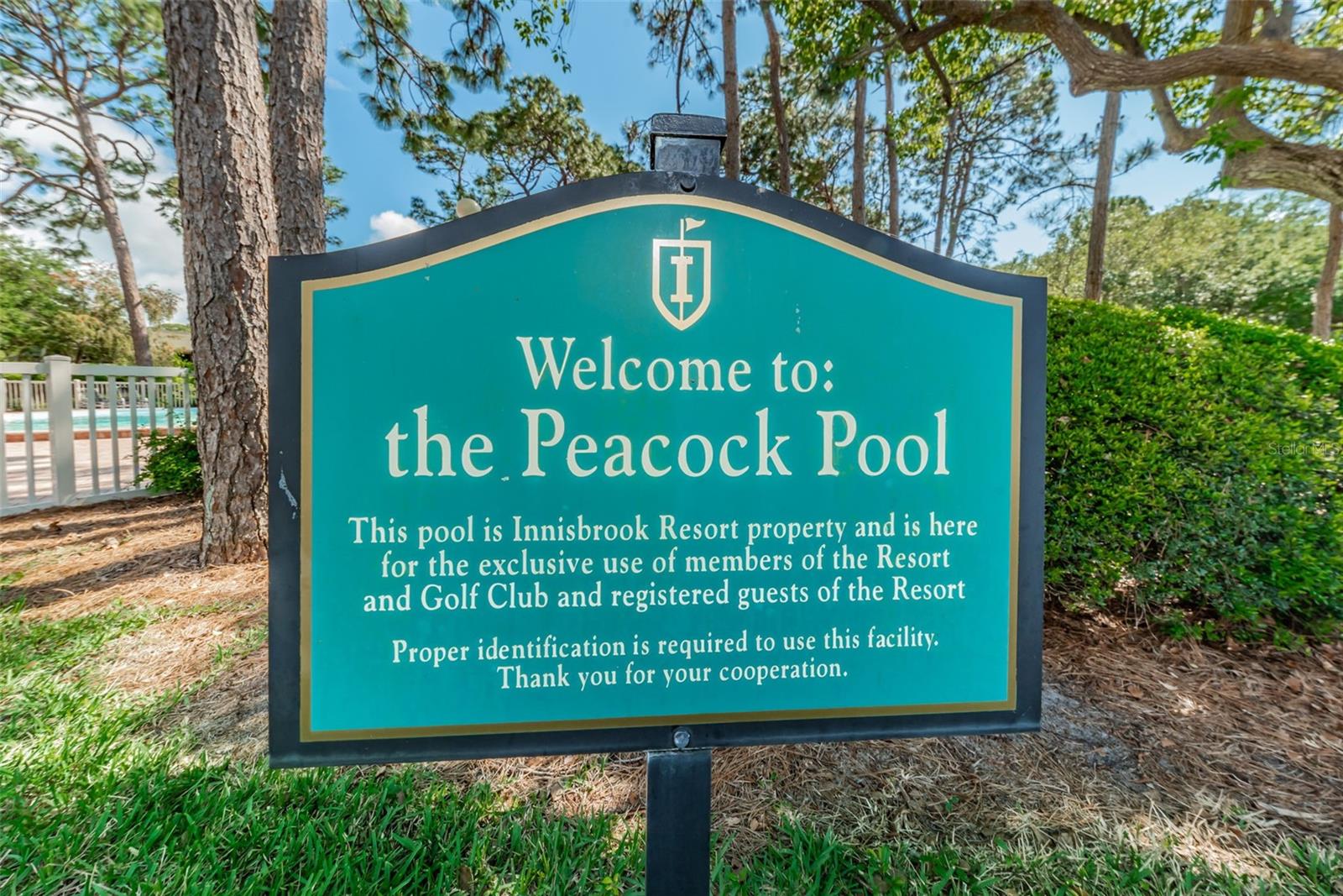 36750 US 19 HWY N #18-210, PALM HARBOR, FL, 34684