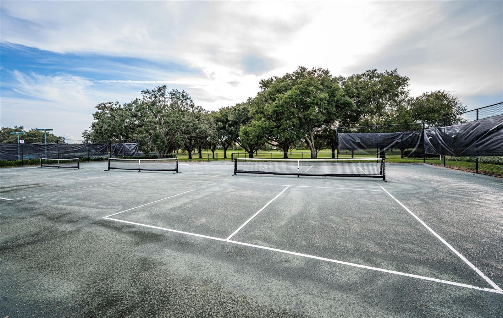 36750 US 19 HWY N #18-210, PALM HARBOR, FL, 34684