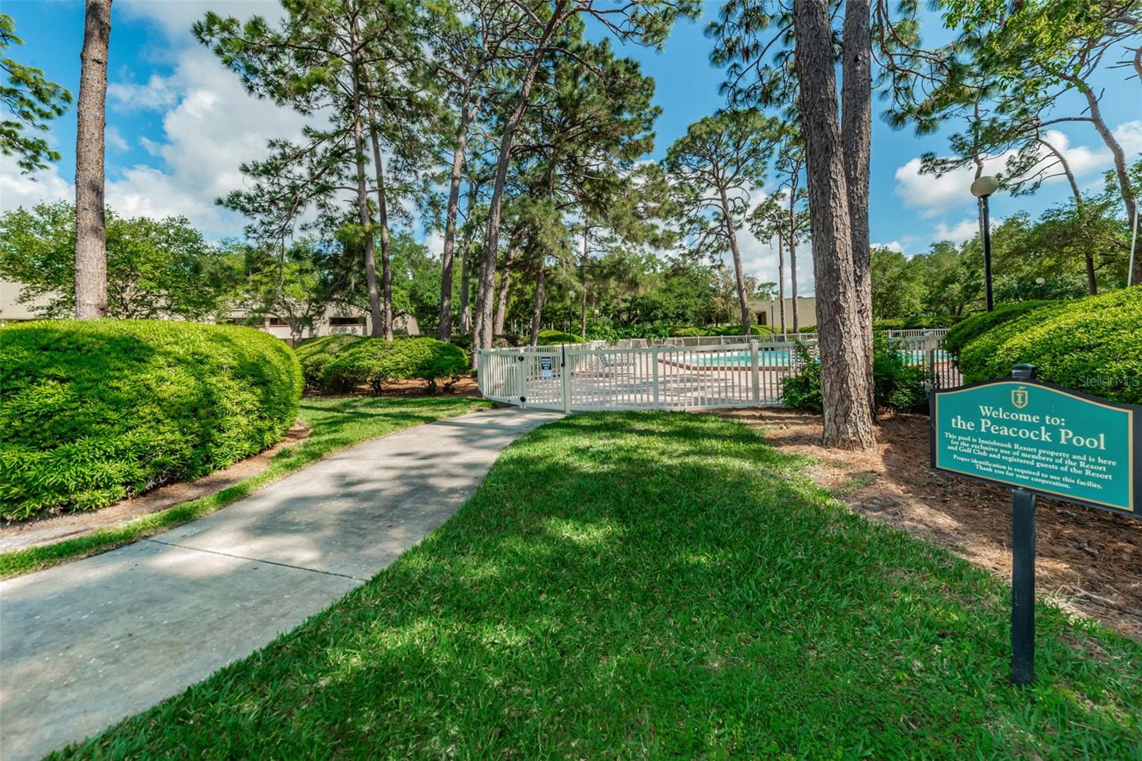 36750 US 19 HWY N #18-210, PALM HARBOR, FL, 34684