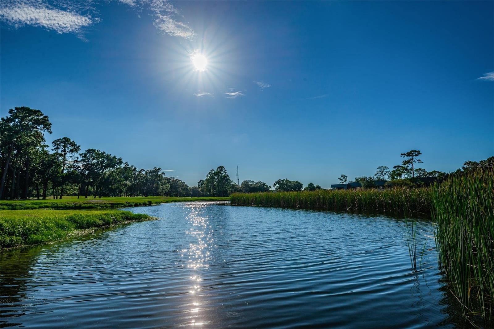 36750 US 19 HWY N #18-210, PALM HARBOR, FL, 34684