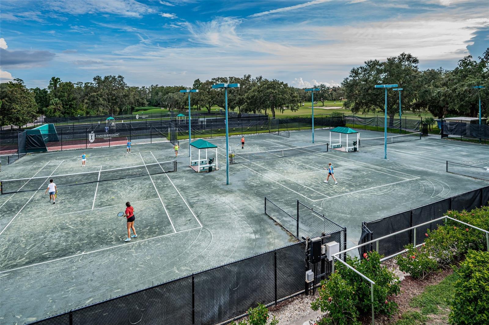 36750 US 19 HWY N #18-210, PALM HARBOR, FL, 34684