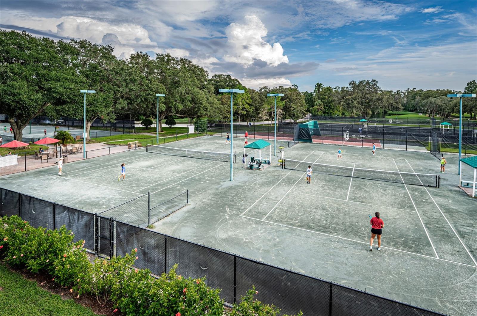 36750 US 19 HWY N #18-210, PALM HARBOR, FL, 34684