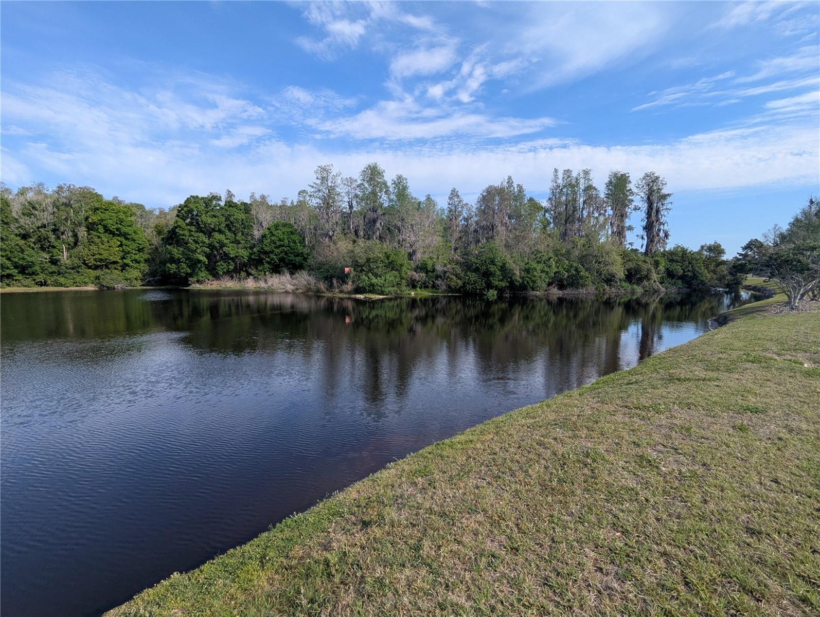 1250 HALAPA WAY, TRINITY, FL, 34655