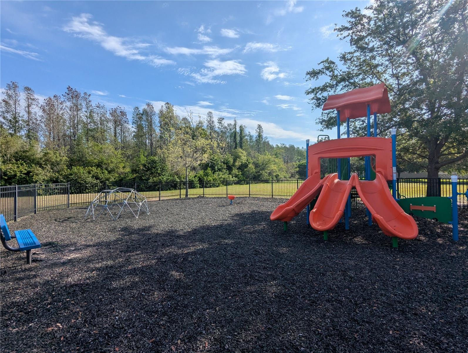 1250 HALAPA WAY, TRINITY, FL, 34655