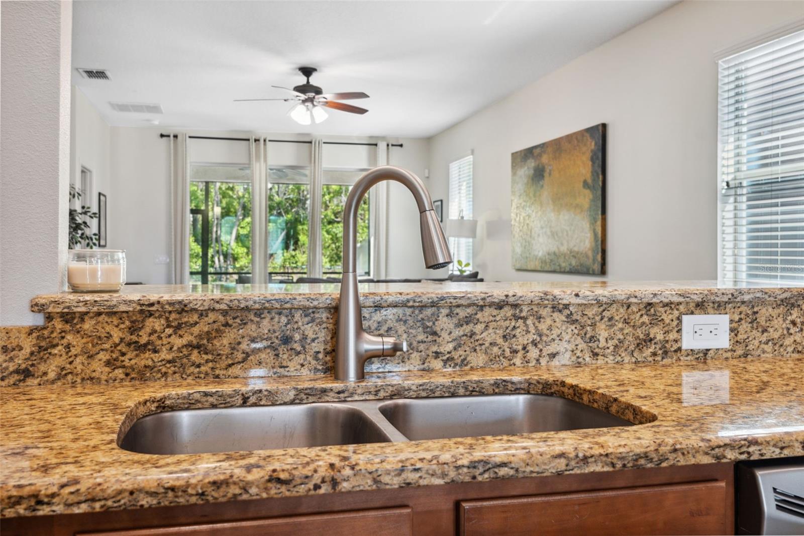 1250 HALAPA WAY, TRINITY, FL, 34655