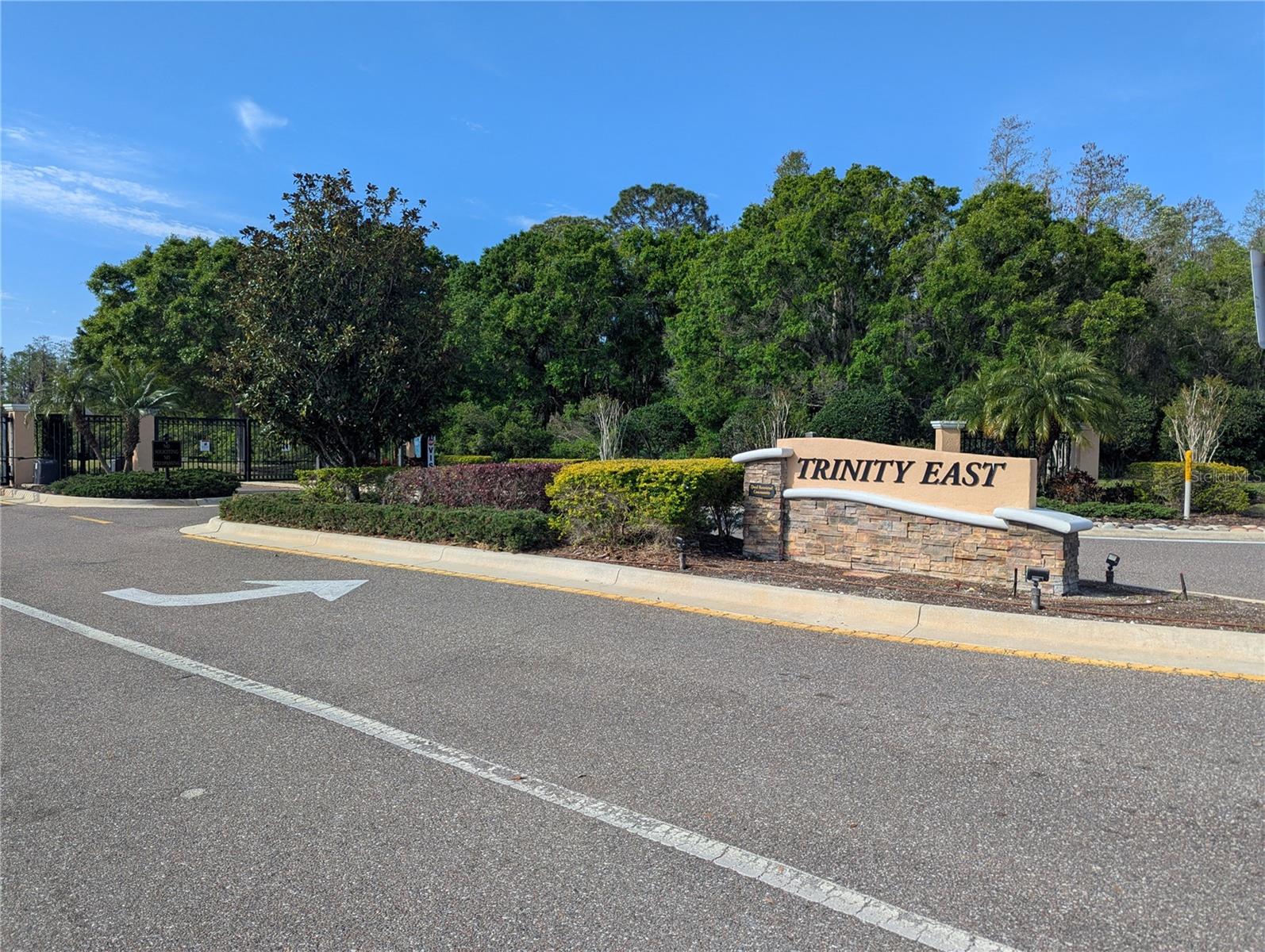 1250 HALAPA WAY, TRINITY, FL, 34655