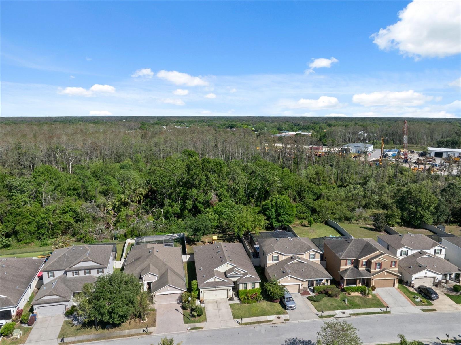 1250 HALAPA WAY, TRINITY, FL, 34655